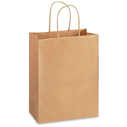 10 X 5 X 13" Shopping Bag - Kraft Paper, With Handles, 250 Each/Box