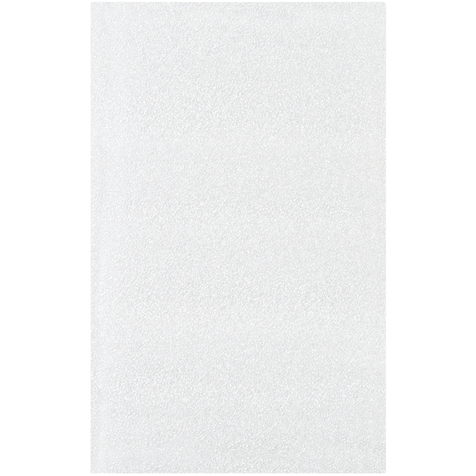 5 X 8" - 1/8" Polyethylene Foam Pouch, Flush Cut, 400/Case
