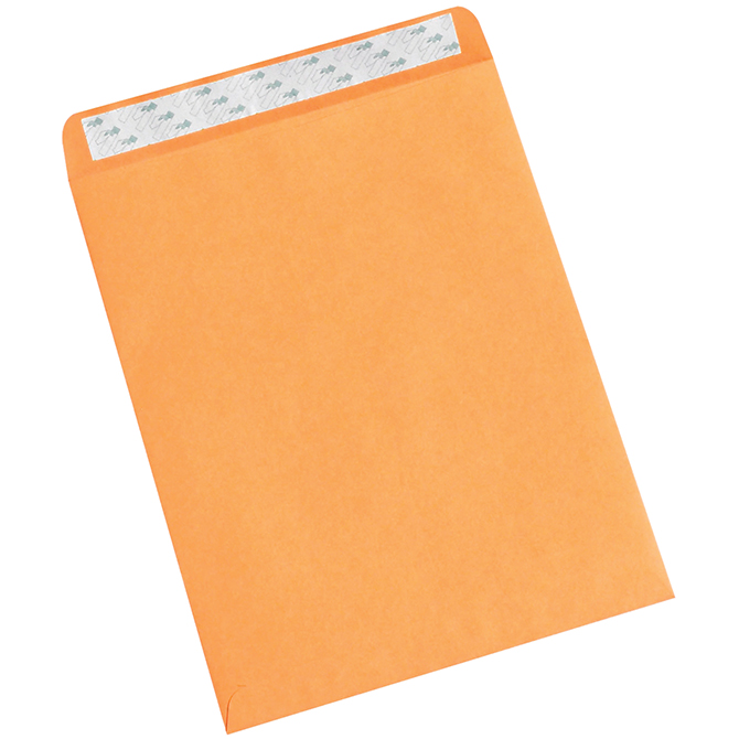 10" X 13" Self-Seal Envelopes, Kraft, 500/Case