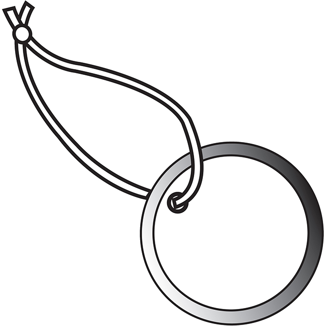 Metal Rim Tag - 2", Pre-Strung, 100/Case
