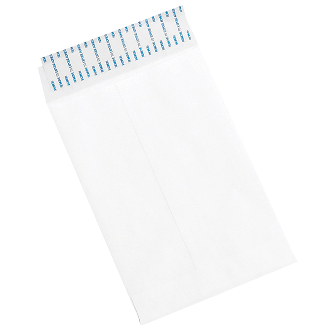 6 X 9" Self-Seal Envelopes, White, 500/Case