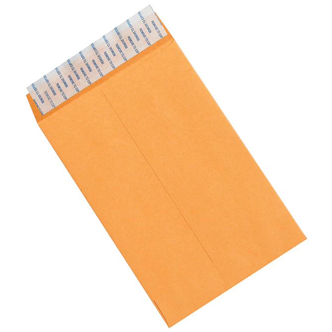6 X 9" Self-Seal Envelopes, Kraft, 500/Case