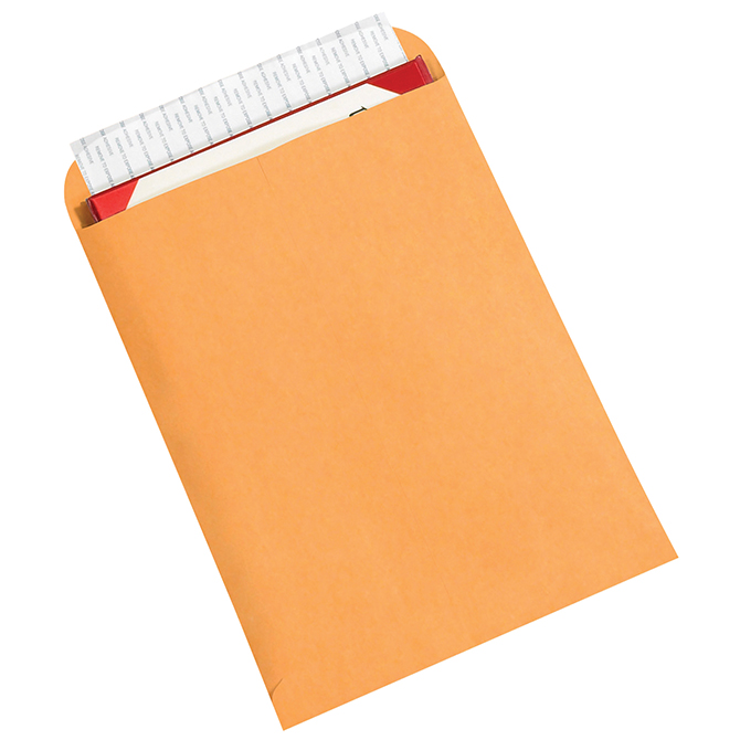 9 X 12" Self-Seal Envelopes, Kraft, 500/Case