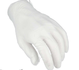 Disposable Gloves — Vinal Powder Free Small; 200/Box